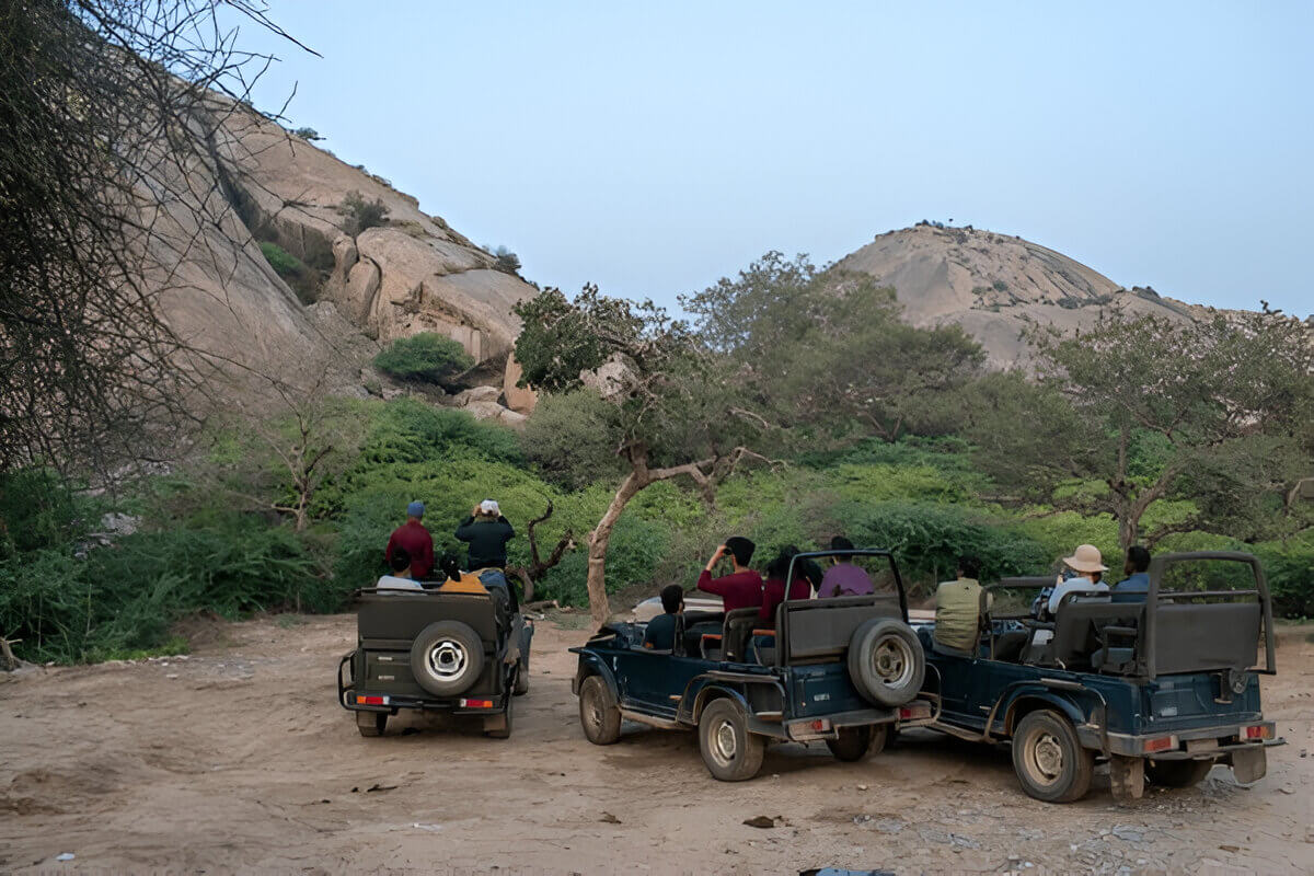 how to reach jawai